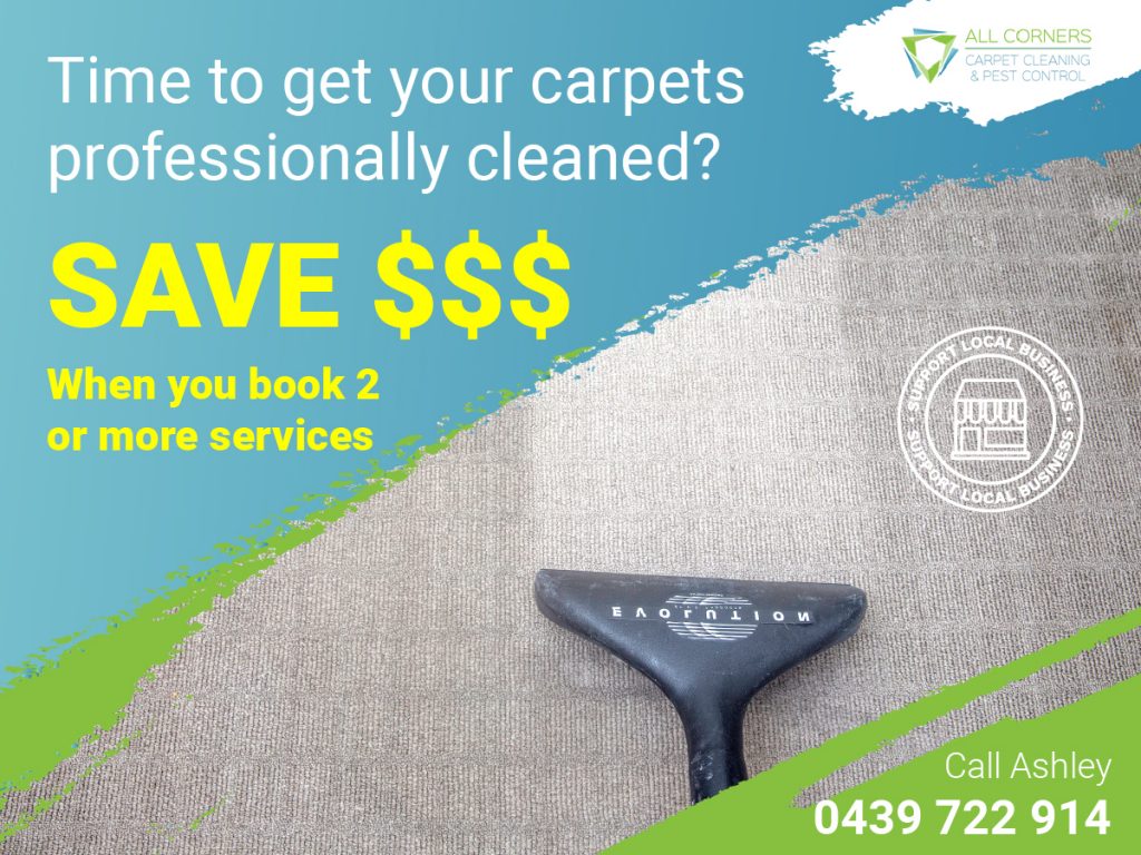 North Brisbane Carpet Cleaning and Pest Control Specials All Corners